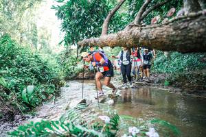 BIB: 
                            <button type="button" onclick="openModal(25476746)" class="btn btn-primary btn-sm float-right btn-popup" data-toggle="modal" data-target=".modal-high-quality">
                        <i class="fas fa-shopping-cart"></i> Add to Cart
                    </button>
                                            <button type="button" onclick="isThisMe(25476746, true)" class="btn btn-success btn-sm float-right btn-popup btn-isme hidden" data-toggle="tooltip" data-placement="bottom" title="นี่คือรูปของคุณใช่ไหม คลิกที่นี่เพื่อเอาเข้าอัลบั้ม">
                        <i class="fas fa-plus"></i> Add to album
                    </button>
                    <button type="button" onclick="isThisMe(25476746, false)" class="btn btn-warning btn-sm float-right btn-popup btn-isnotme hidden">
                        <i class="fas fa-ban"></i> Remove from album
                    </button>